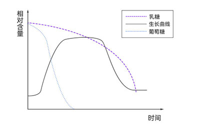 大肠杆菌在不同培养基中的生长