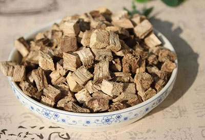 葛根